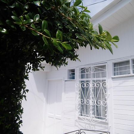 Bight View Hotel San Andrés Exterior photo