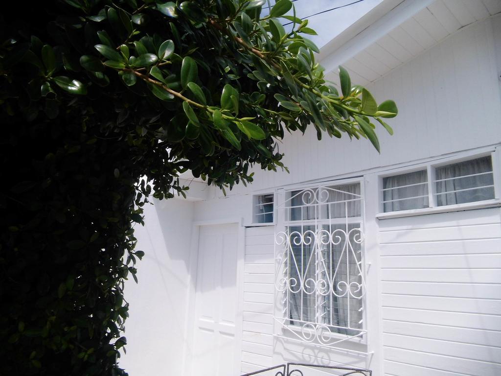 Bight View Hotel San Andrés Exterior photo